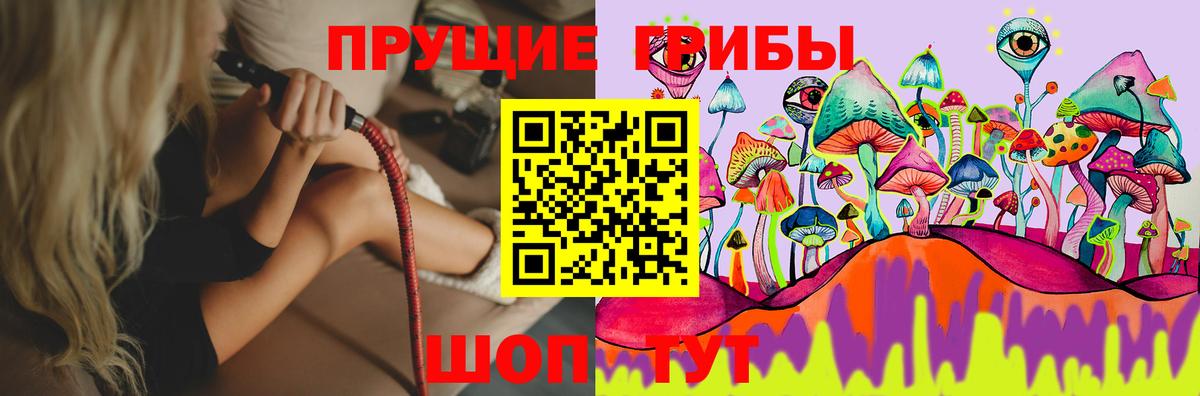 Галлюциногенные грибы Cubensis  Вход с VPN  Темрюк 